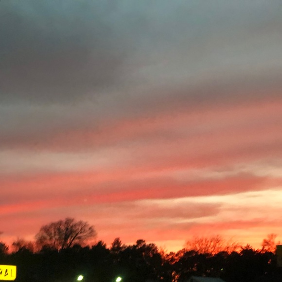 Meet your Posher, Ari - Picture 1 of 1